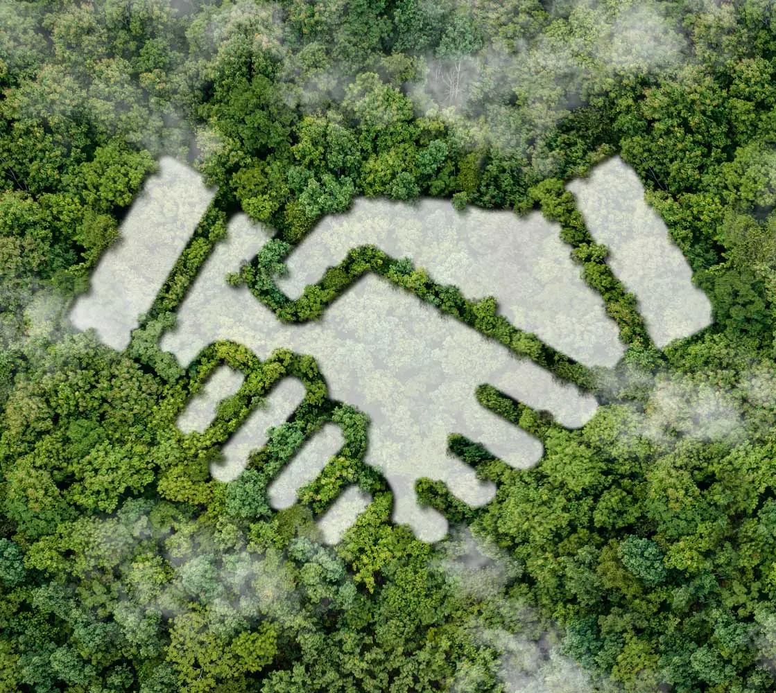 cooperacion Imagen ilustrativa